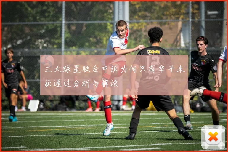 三大球星联合申诉为何只有华子未获通过分析与解读
